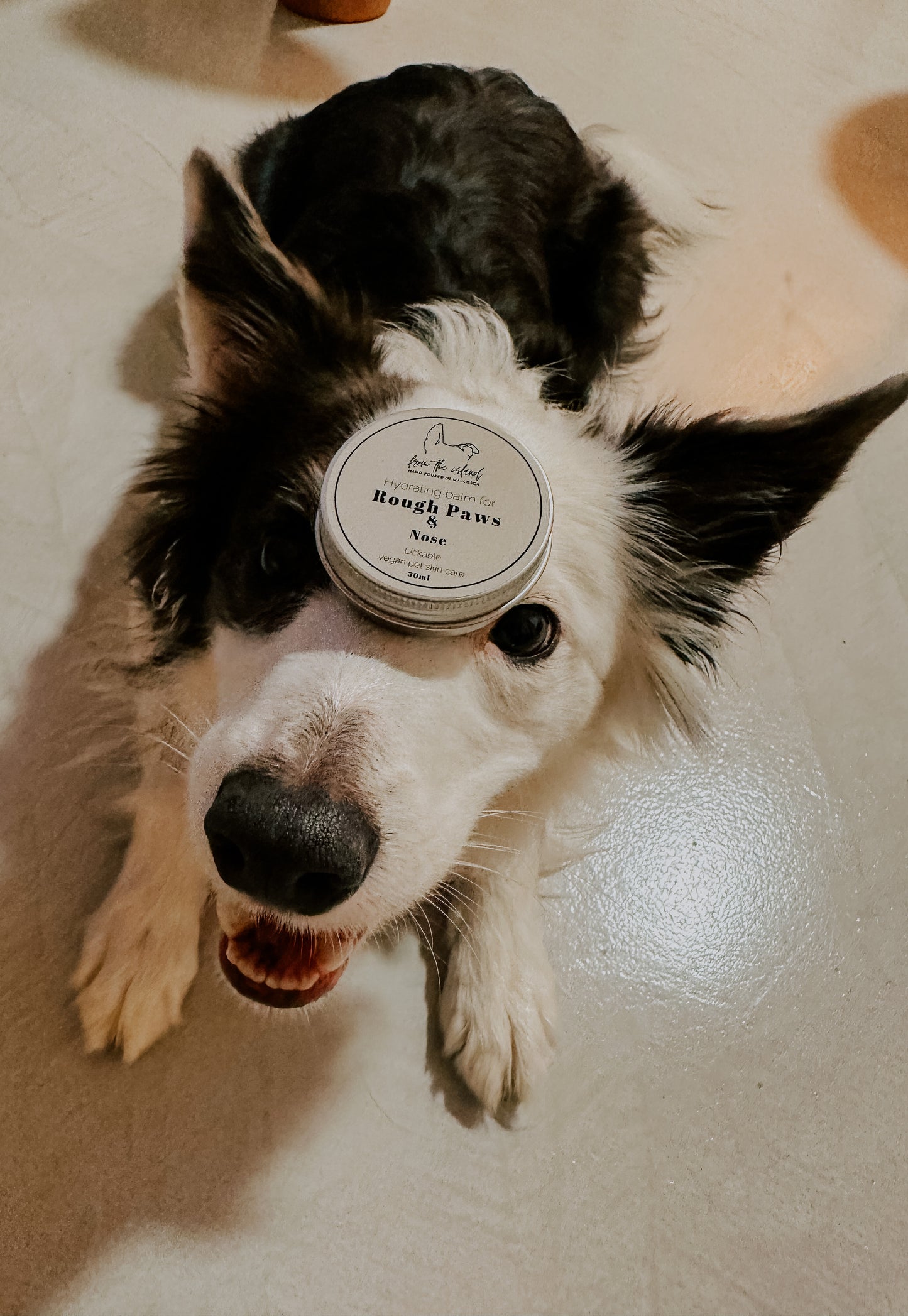 HYDRATING PAW BALM