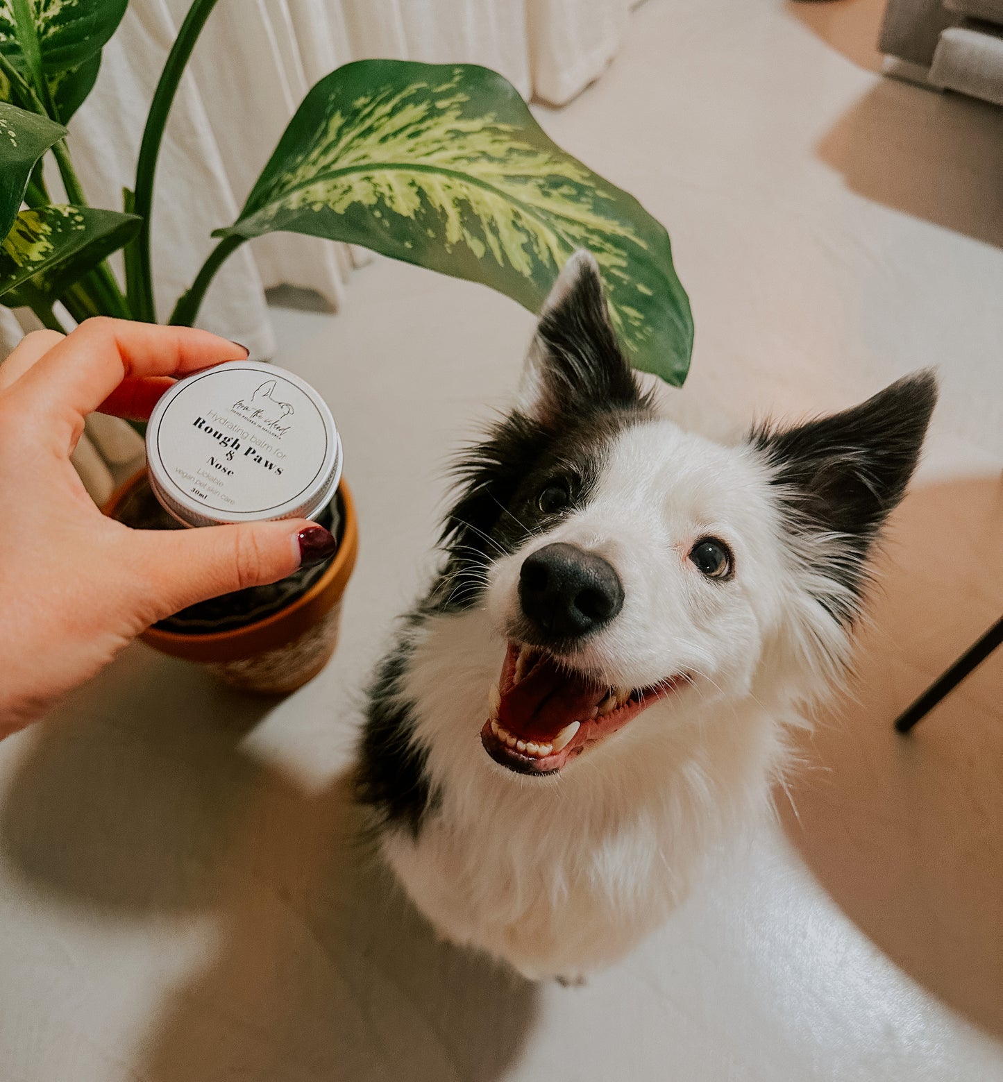 HYDRATING PAW BALM